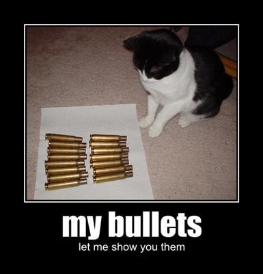 My bullets, let me show you them.