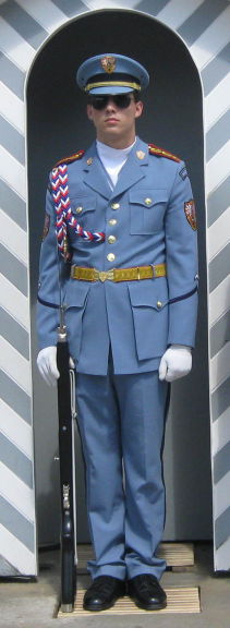 Honor Guard at Prague Castle, with a chromed SKS.