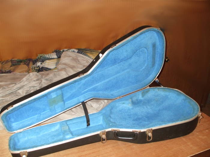 Open molded guitar case lined with blue yeti fur.