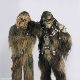 Two Wookiees.